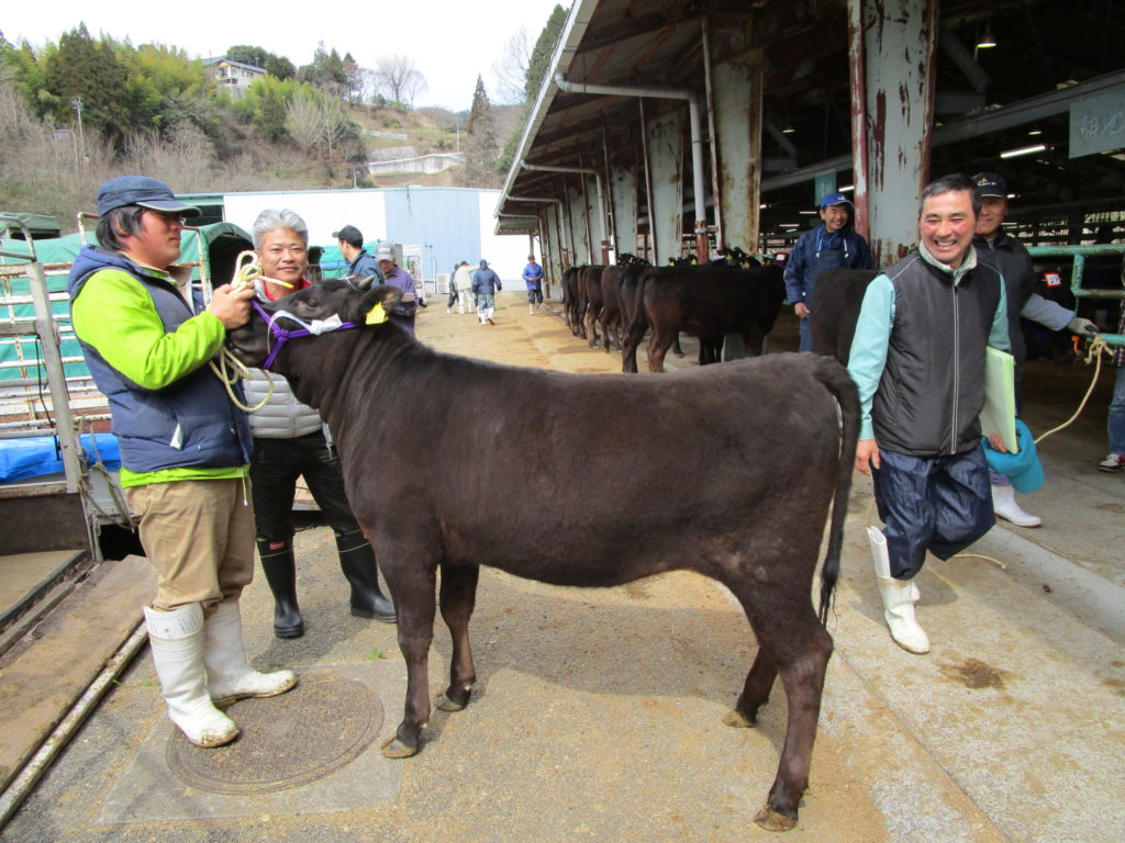 大分県豊肥市場に行ってきました 甘草 飼料販売事業 トリプルクラウン日本総発売元